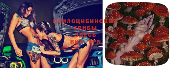 хмурый Алексеевка