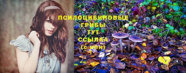 хмурый Алексеевка