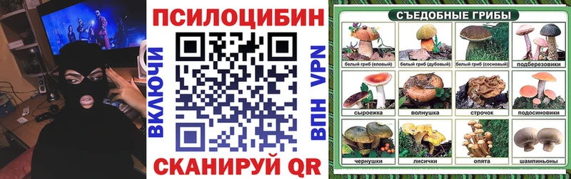 Галлюциногенные грибы мухоморы  blacksprut ССЫЛКА  Наволоки 